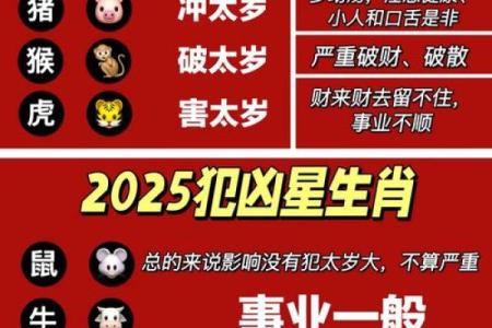 84年女鼠2025年属鼠人的全年运势