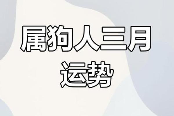 属狗的今天运势和财运 属狗今日运势与财运解析好运连连财运亨通 属狗的今天运势和财运 属狗今日运势与财运解析好运连连财运亨通