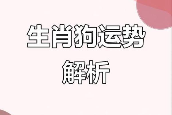1970年属狗每月运势详解全年运程大揭秘 1970年属狗每月运势详解全年运程大揭秘