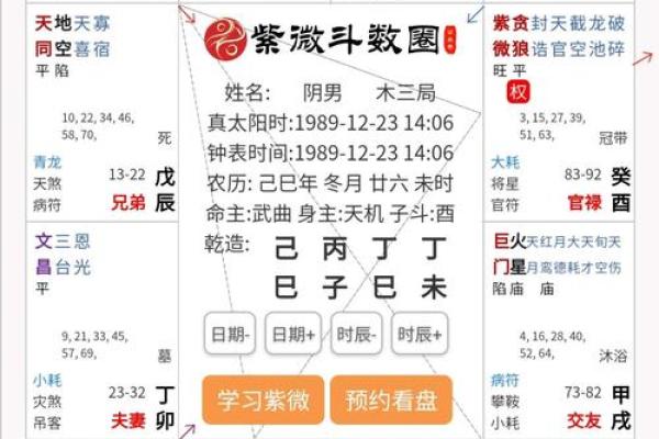 2025年4月14日未时女命紫微斗数全解盘 2025年4月14日未时女命紫微斗数全解盘