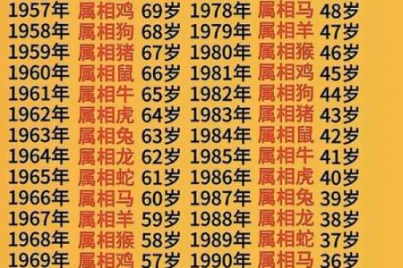 1996年2月14日属猪还是老鼠 1996年2月14日五行属什么