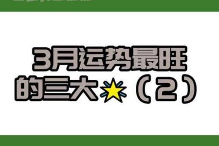 双子女3月运势(双子座三月运势)