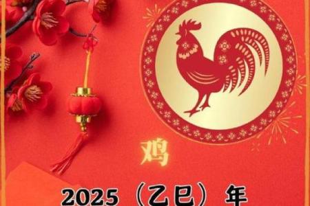 1969年女鸡2025年运程同运气_1969年属鸡女2025年运势详解财运健康感情全解析