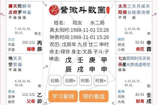 2025年4月16日申时女命紫微斗数全解盘