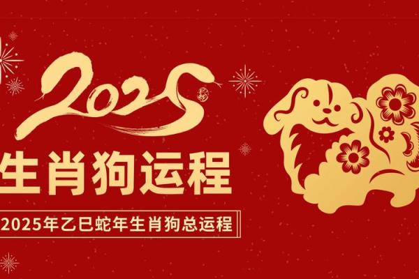 2025年属狗人的全年运势 2025年属狗人全年运势详解事业财运健康全解析