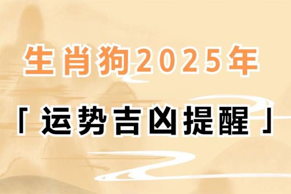 2025年属狗女运势与财运全解析 2025年属狗女运势与财运全解析