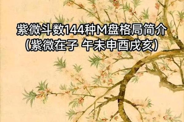 2025年4月28日亥时男命紫微斗数全解盘 2025年4月28日亥时男命紫微斗数全解盘