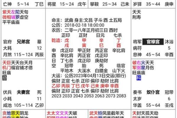 2025年4月9日酉时男命紫微斗数全解盘 2025年4月9日酉时男命紫微斗数全解盘