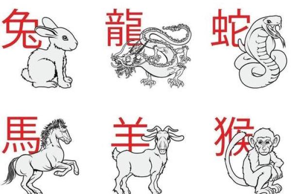 走马观花打一准确生肖