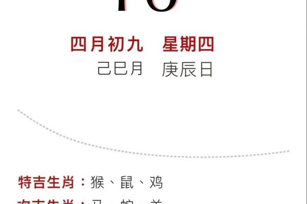 五行穿衣12.29(五行穿衣12.28) 五行穿衣12.29(五行穿衣12.28)