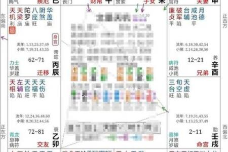 2025年4月20日卯时女命紫微斗数全解盘