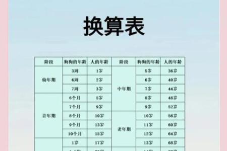 属狗的今年多大了岁数表_2024年属狗人年龄对照表今年你几岁