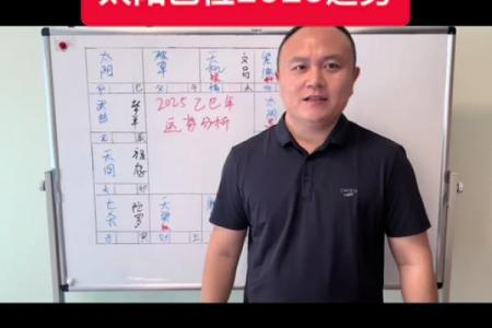 2025年4月17日午时男命紫微斗数全解盘