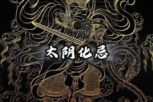 2025年4月30日酉时女命紫微斗数全解盘 2025年4月30日酉时女命紫微斗数全解盘