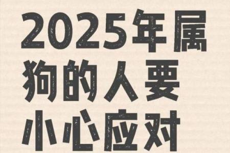 属狗2025年的运势及运程1994_2025年属狗的全年运势