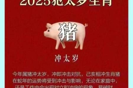 2025年属猪的幸运颜色和饰品_2025年属猪幸运颜色与饰品指南提升运势必备
