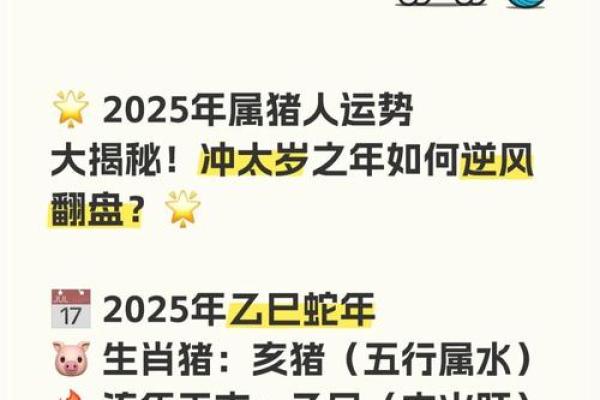 59年出生属猪的今年命运 59年属猪人2023年运势解析命运转折与机遇并存 59年出生属猪的今年命运 59年属猪人2023年运势解析命运转折与机遇并存