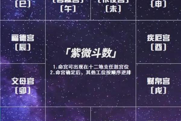 2025年4月13日午时女命紫微斗数全解盘