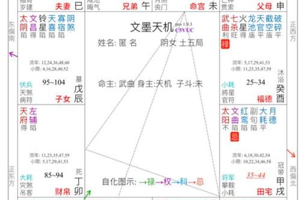 2025年4月3日戌时女命紫微斗数全解盘 2025年4月3日戌时女命紫微斗数全解盘