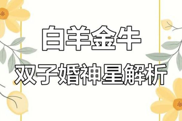 双子座和金牛座合吗