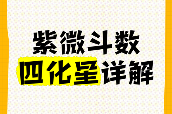 2025年4月21日酉时女命紫微斗数全解盘