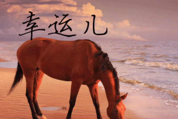 属狗和属马的适合做夫妻吗_属狗的和属马的在一起合适吗