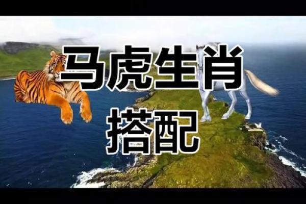 属马2025年多大_属虎2025年多大 属马2025年多大_属虎2025年多大