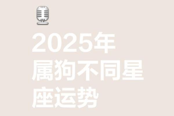 2025年属狗女人的运势如何 1982属狗女2025年运势完整版 2025年属狗女人的运势如何 1982属狗女2025年运势完整版