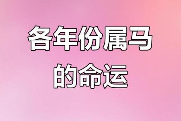 2002年属马今年多大2023年年龄计算与运势解析