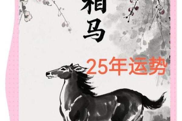 生肖马2025年 2025生肖马运势全解析事业财运爱情运程指南