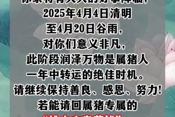 2025年属猪人的全年运势如何_2025年属猪人的每月运势详解