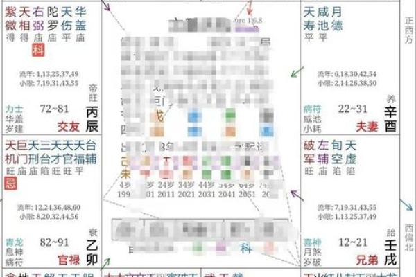 2025年4月19日戌时女命紫微斗数全解盘 2025年4月19日戌时女命紫微斗数全解盘