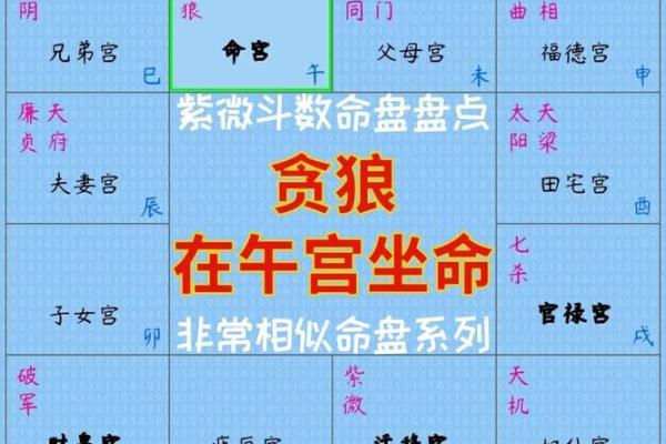 2025年4月7日午时男命紫微斗数全解盘 2025年4月7日午时男命紫微斗数全解盘