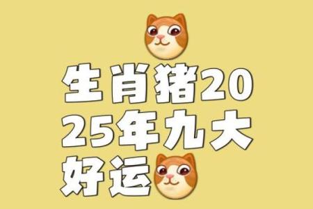 2025年属猪2007年生的全年运程 2007年属猪17岁有一灾