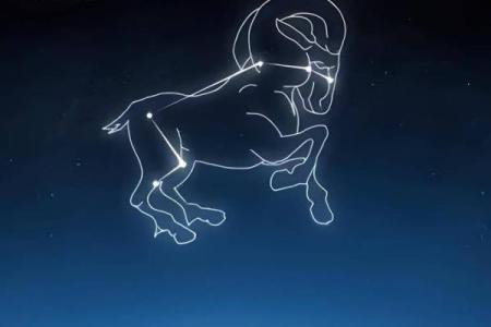 白羊第一星座运势