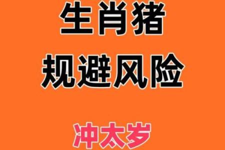 95年属猪2025年运势 95年属猪2025年运势及运程
