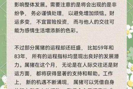 2025年属猪幸运色揭秘提升运势的最佳选择