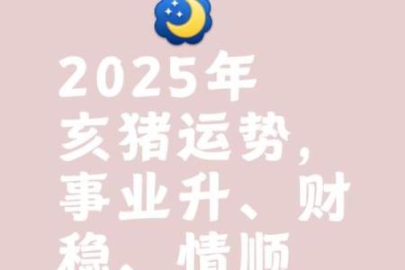 猪年2025年运势及运程 2025猪年运势详解运程预测与开运指南