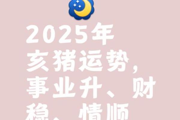 猪属相2025运势_2025年猪运势
