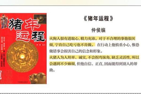 2007年属猪2026年运势及运程_2007年属猪2026年运势详解运程预测与吉凶分析