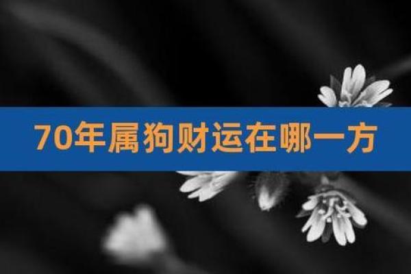 70年属狗女今天财运_70年属狗女今天财运怎么打麻将 70年属狗女今天财运_70年属狗女今天财运怎么打麻将