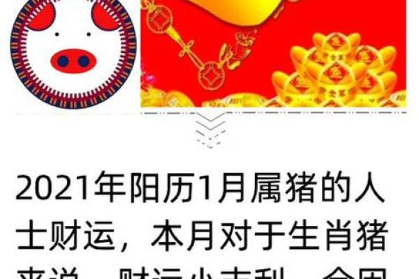 59年的猪在2025年的运势_2025年59年属猪人运势解析财运事业健康全揭秘 59年的猪在2025年的运势_2025年59年属猪人运势解析财运事业健康全揭秘