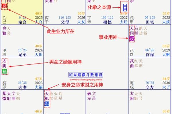 2025年4月17日子时女命紫微斗数全解盘 2025年4月17日子时女命紫微斗数全解盘