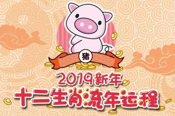 猪年2025年的运势及运程详解 2025猪年运势全解析运程详解与吉凶预测 猪年2025年的运势及运程详解 2025猪年运势全解析运程详解与吉凶预测