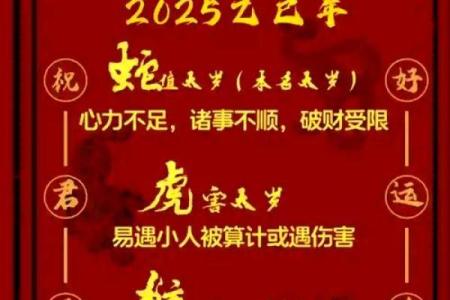 属马的人2025 属马的人2025年犯太岁吗