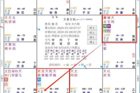 2025年4月17日子时女命紫微斗数全解盘