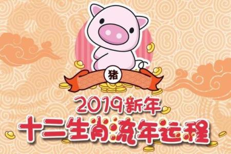猪年2025年的运势及运程详解 2025猪年运势全解析运程详解与吉凶预测