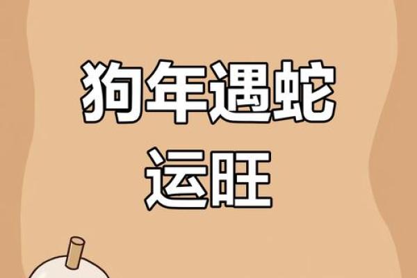 属狗人今天的运气和财运 狗今天偏财运最旺时间