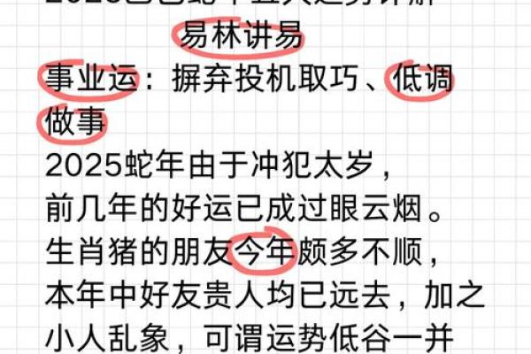 71年属猪今年每月运势_71年属猪2025年运势 71年属猪今年每月运势_71年属猪2025年运势