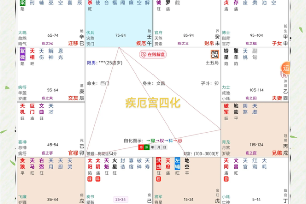 2025年4月16日戌时女命紫微斗数全解盘 2025年4月16日戌时女命紫微斗数全解盘